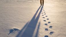 Footprints in the snow.