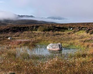 peatlands in Scotland