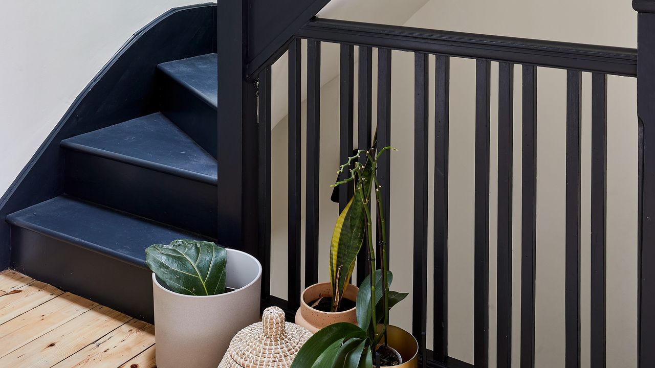 A hallway with a staircase painted black and with potted houseplants on the wood floor