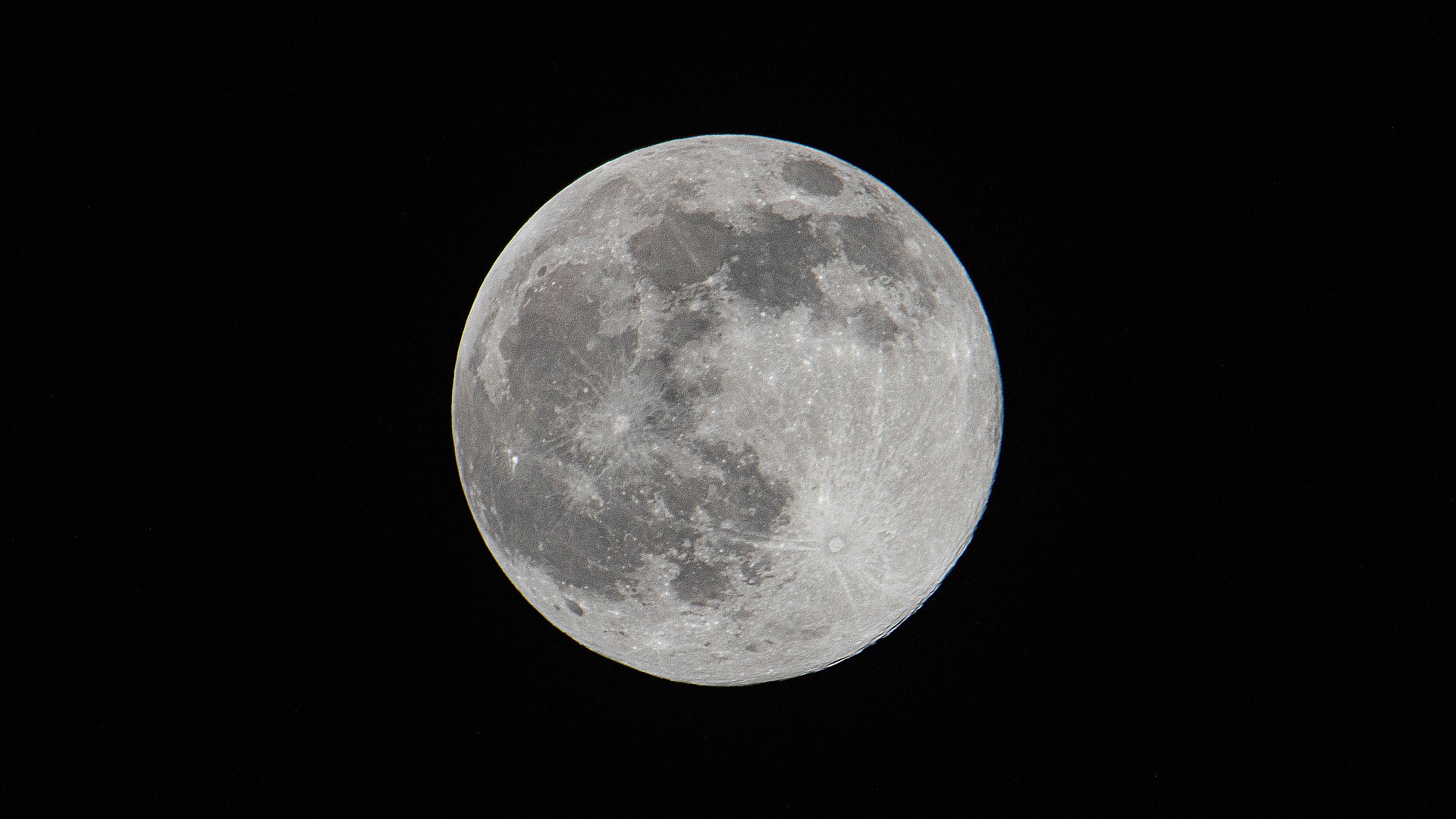 Moon Fawe Moon Fawe