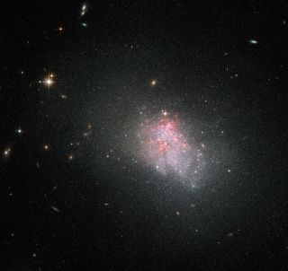 Hubble Image of Star-Forming Dwarf Galaxy