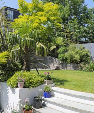 Decorative lowers in pots stand on patio steps in a south London garden, UK