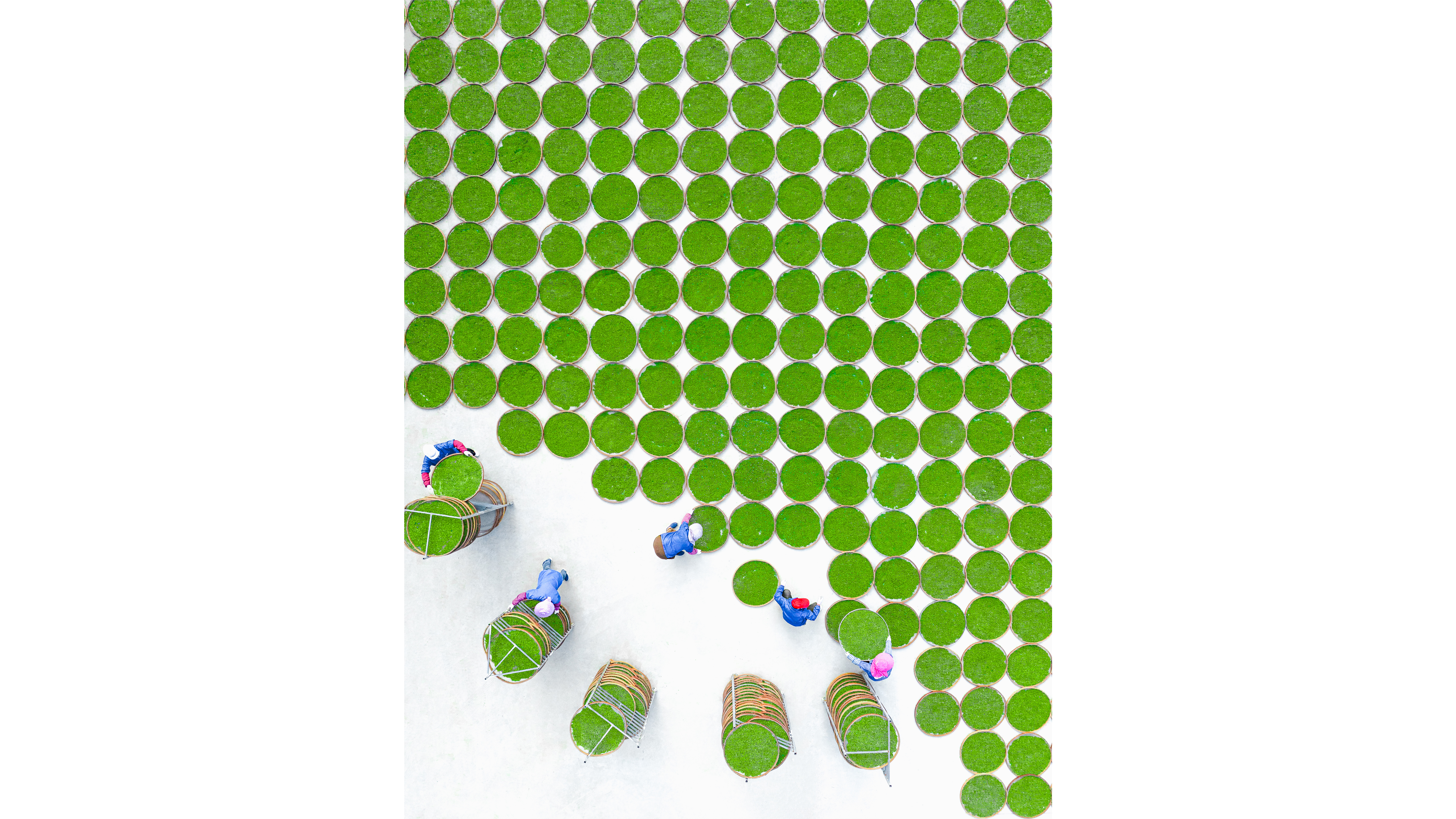 An image from the SkyPixel Awards 2026