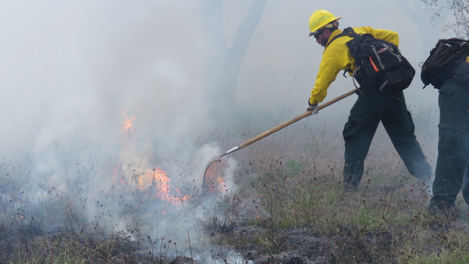 Un pompier lucrează în apropierea unui incendiu din Parcul Național Everglades