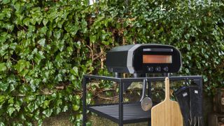 A pizza oven in the backyard