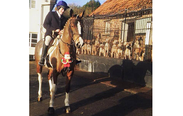 A festive moment at the Minehead Harrier's kennels