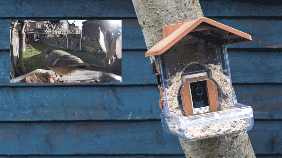Wasserstein Bird Feeder Smart Case review Bird watching made easy