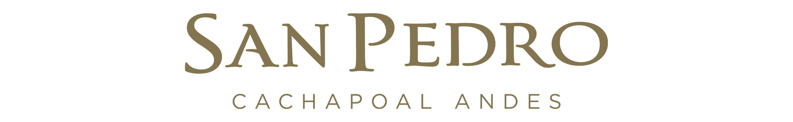 Vi&amp;ntilde;a San Pedro logo