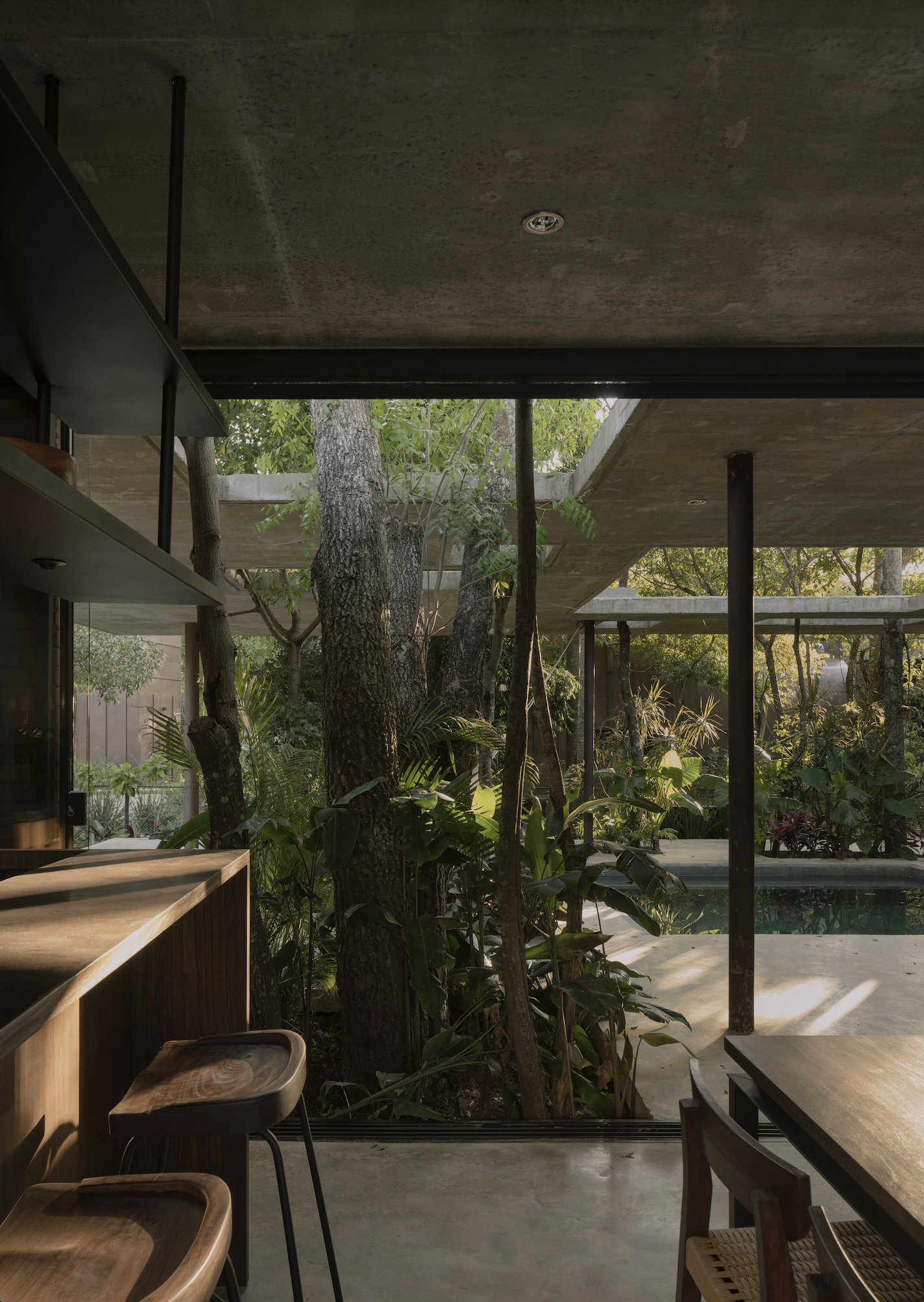 A Forest in the House, Paraguay, by Equipo de Arquitectura
