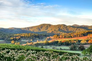 The Blue Ridge Mountains during fall with trees that are starting to change colors