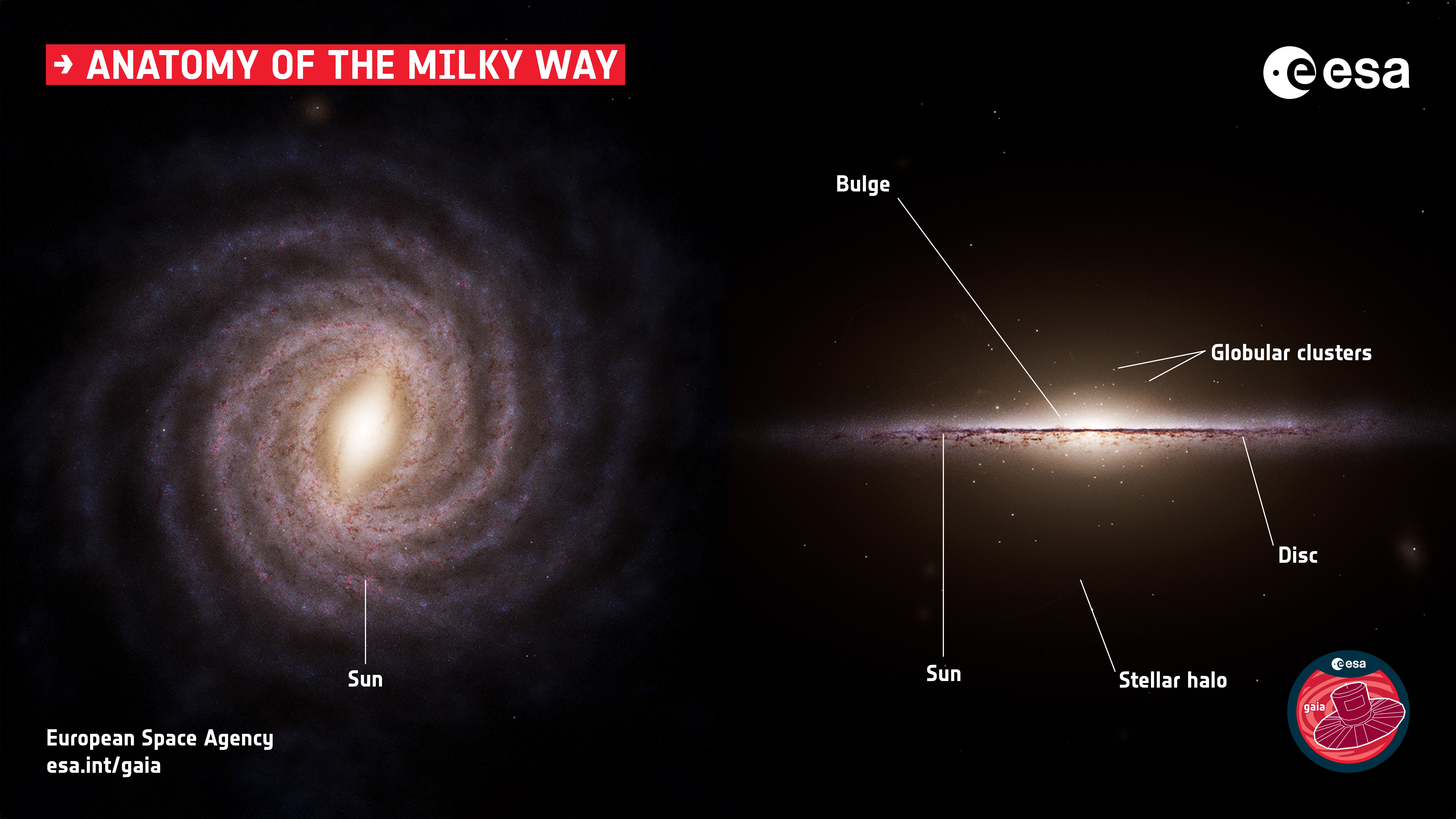 Diagram of the Milky Way.