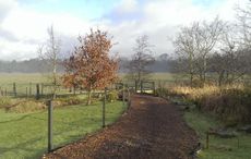 RDA_fairy_glen_3.jpg