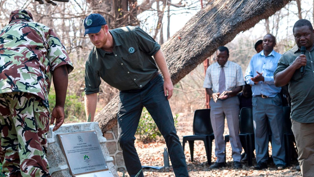 The Duke of Sussex Prince Harry unveils the Queen&#039;s Canopy Tree during his official visit to Malawi at Liwonde national park where he also paid tribute to British guardsman Matthew Talbot, 22, of the Coldstream Guards, who was killed in C-IWT Operation a few months ago, at Liwonde National park on September 29, 2019. - Gdsm Talbot was killed by an elephant who charged at him.