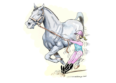 Over horsed - stable stereotypes