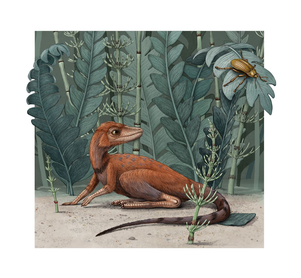 An illustration of the &quot;tiny bug slayer,&quot; Kongonaphon kely, a newly described reptile that lived about 237 million years ago, during the Triassic period, in what is now Madagascar.