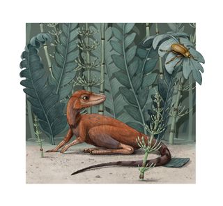 An illustration of the "tiny bug slayer," Kongonaphon kely, a newly described reptile that lived about 237 million years ago, during the Triassic period, in what is now Madagascar.