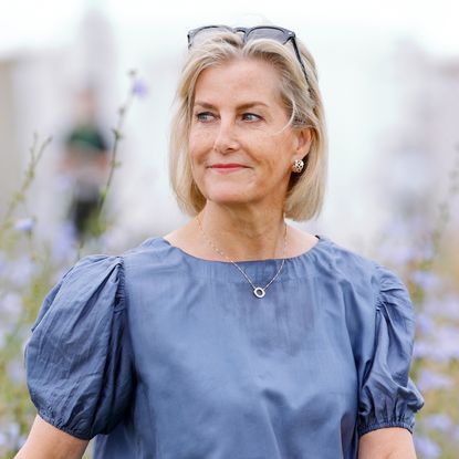 Duchess Sophie wearing a blue top and looking to the left