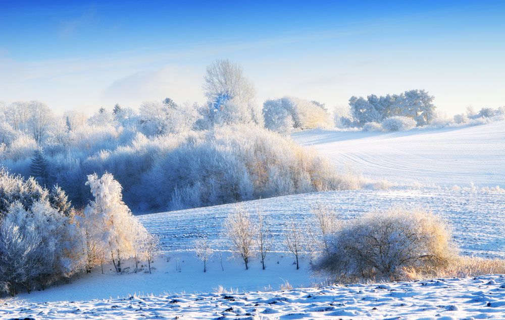 Winter: The Coldest Season | Live Science