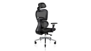 Nouhaus Ergo3D Ergonomic Office Chair review: The chair in black shown from the back to display its superb head and back support system
