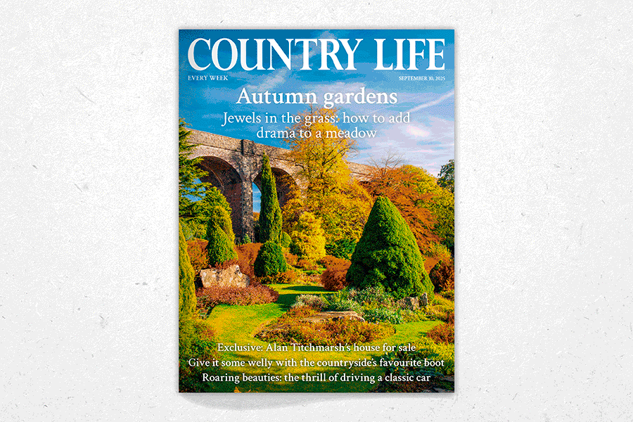 Country Life 10 September 2025