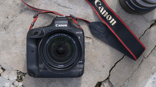 Canon 1DX Mark III Erfahrungsbericht