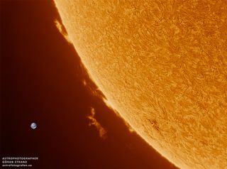 Solar Prominence by Strand 