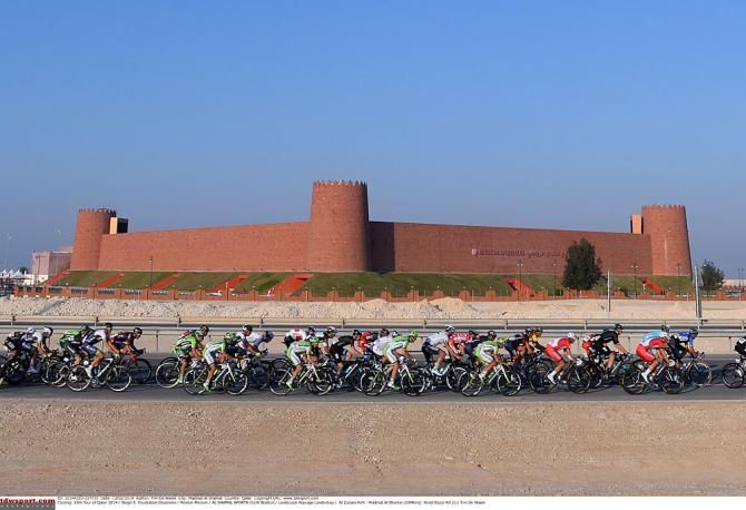 The peloton in Qatar