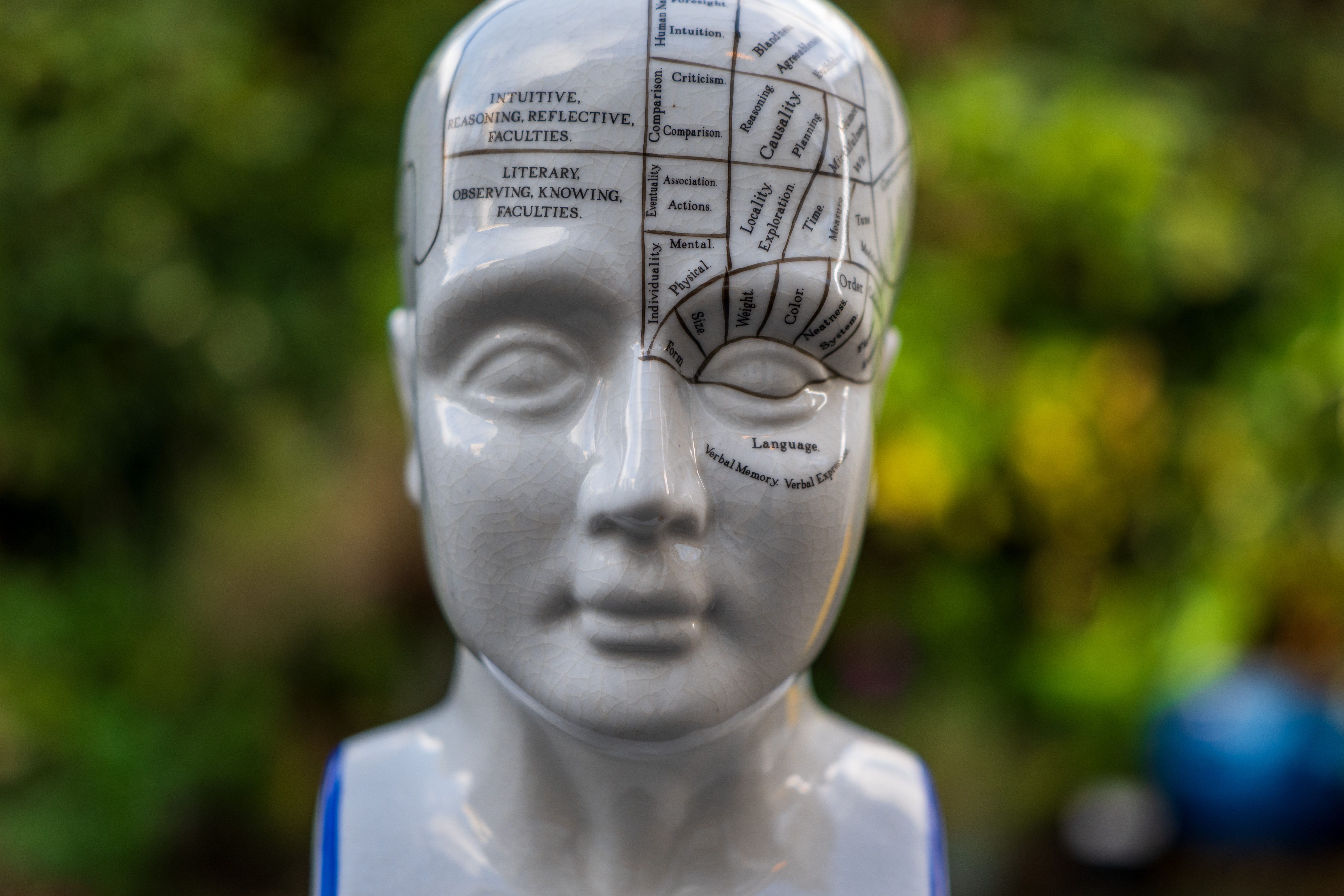 Panasonic Lumix S 24-60mm f/2.8 example shot