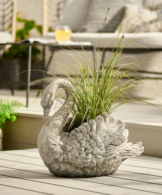 Grey swan planter with grasses