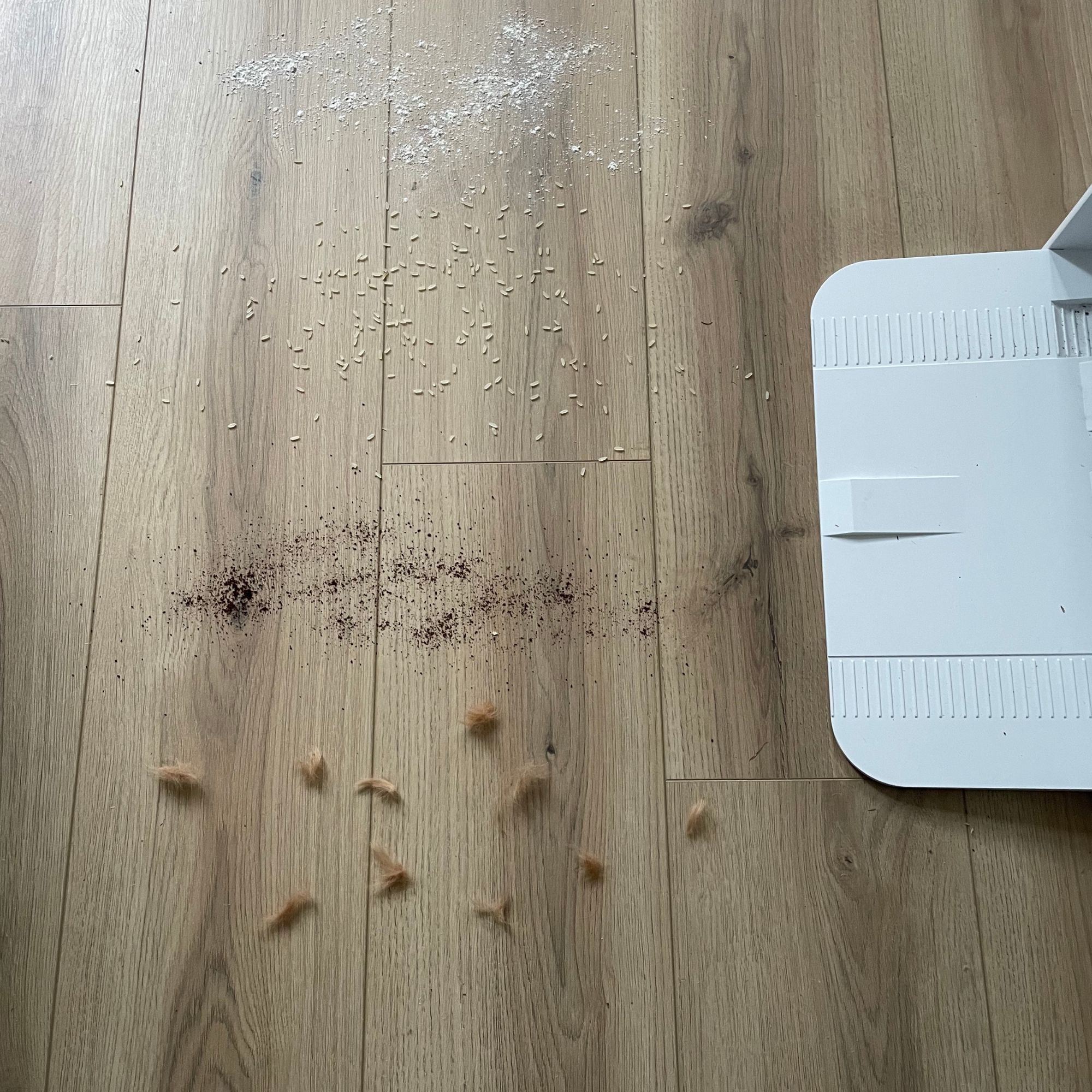 Debris scattered on the floor to test robot vacuums