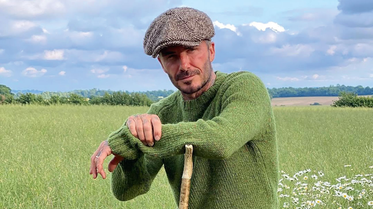 David Beckham in a field