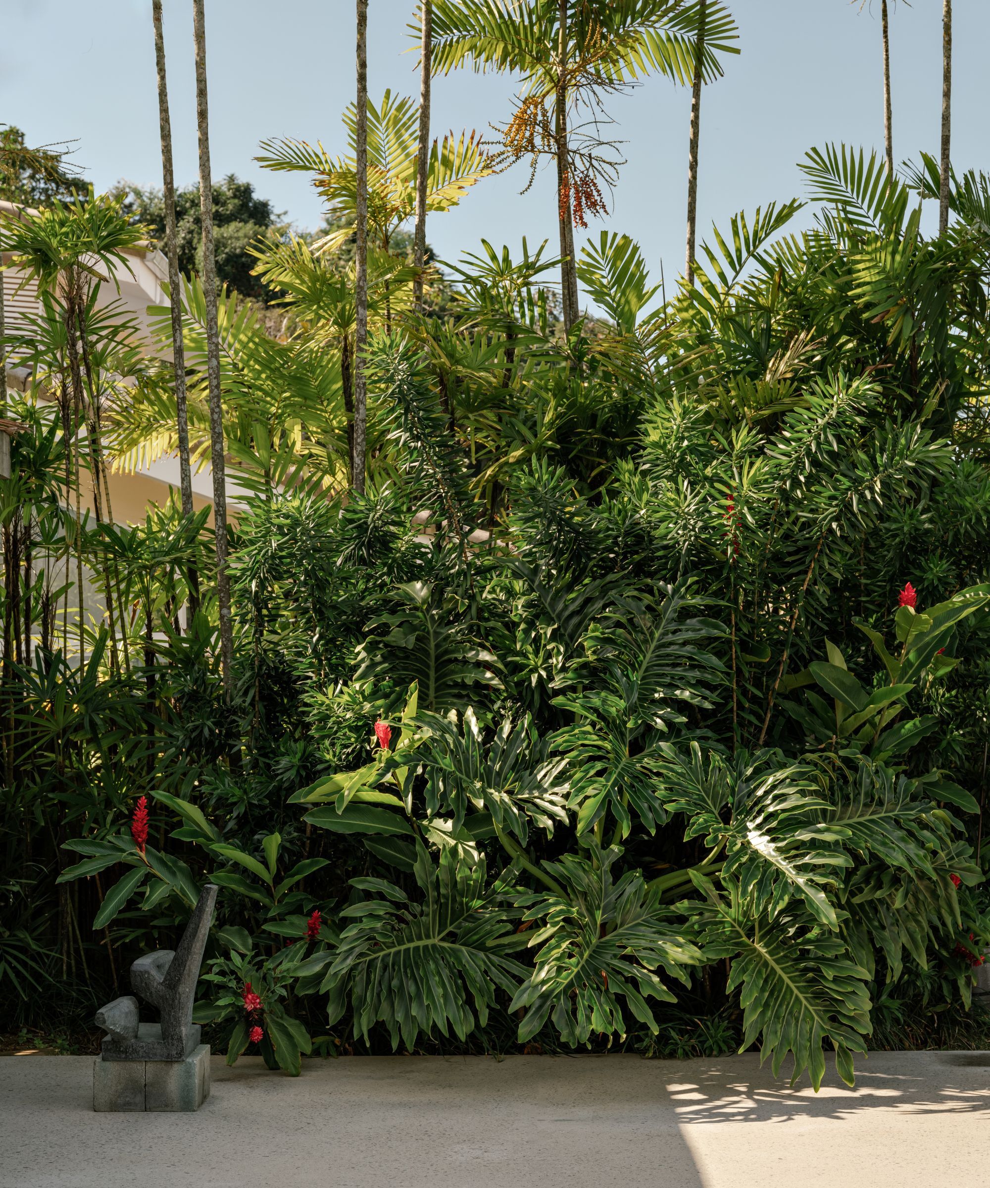 Tropical garden
