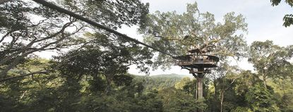 A Gibbon Experience tree house and the zip line that guests fly in on.