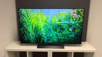 LG C6 48-inch OLED TV