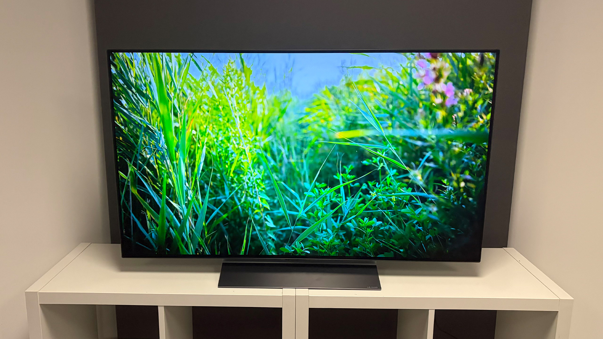 LG C6 48-inch OLED TV