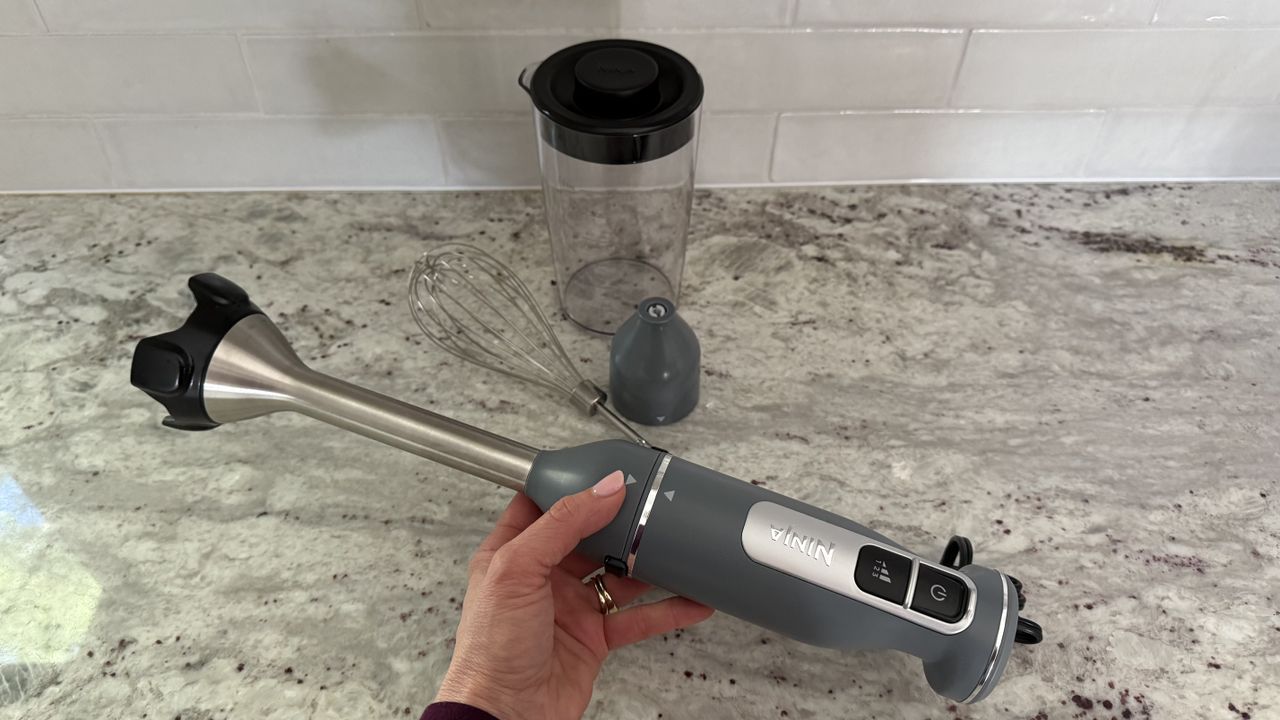 Ninja Power Duo Immersion Blender with Whisk