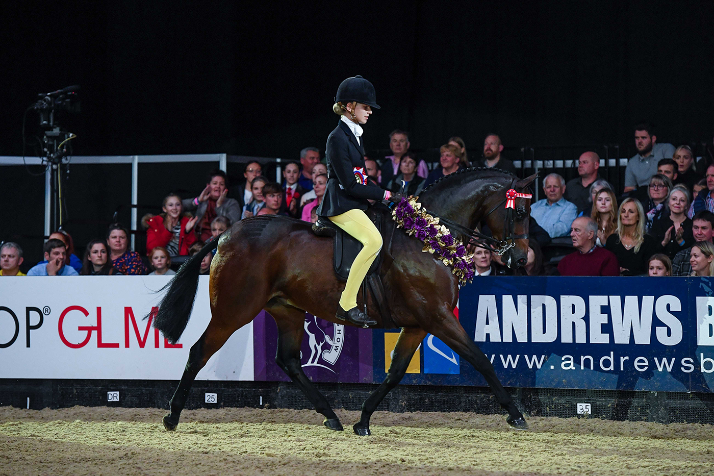 Roseberry Final Edition and Ellie Mae Harrington are children's riding pony of the year champions at HOYS 2021