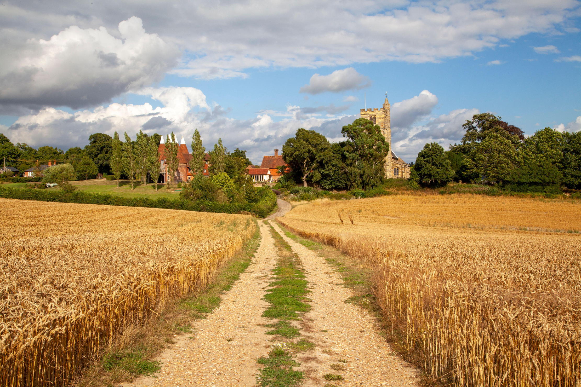 A field in Kent leading to some oast houses