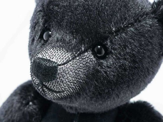 memorial bears with voice