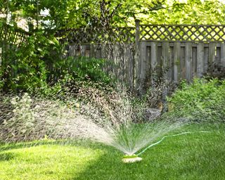 Watering lawn with a sprinkler