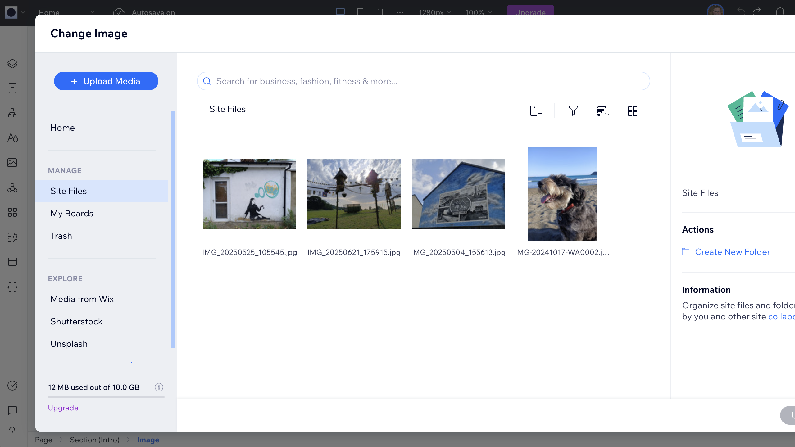 Editing a template in Wix Studio
