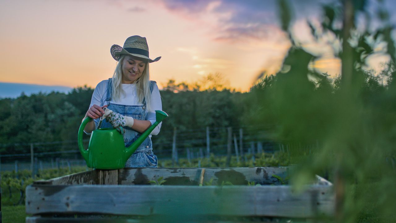 garden water saving tips