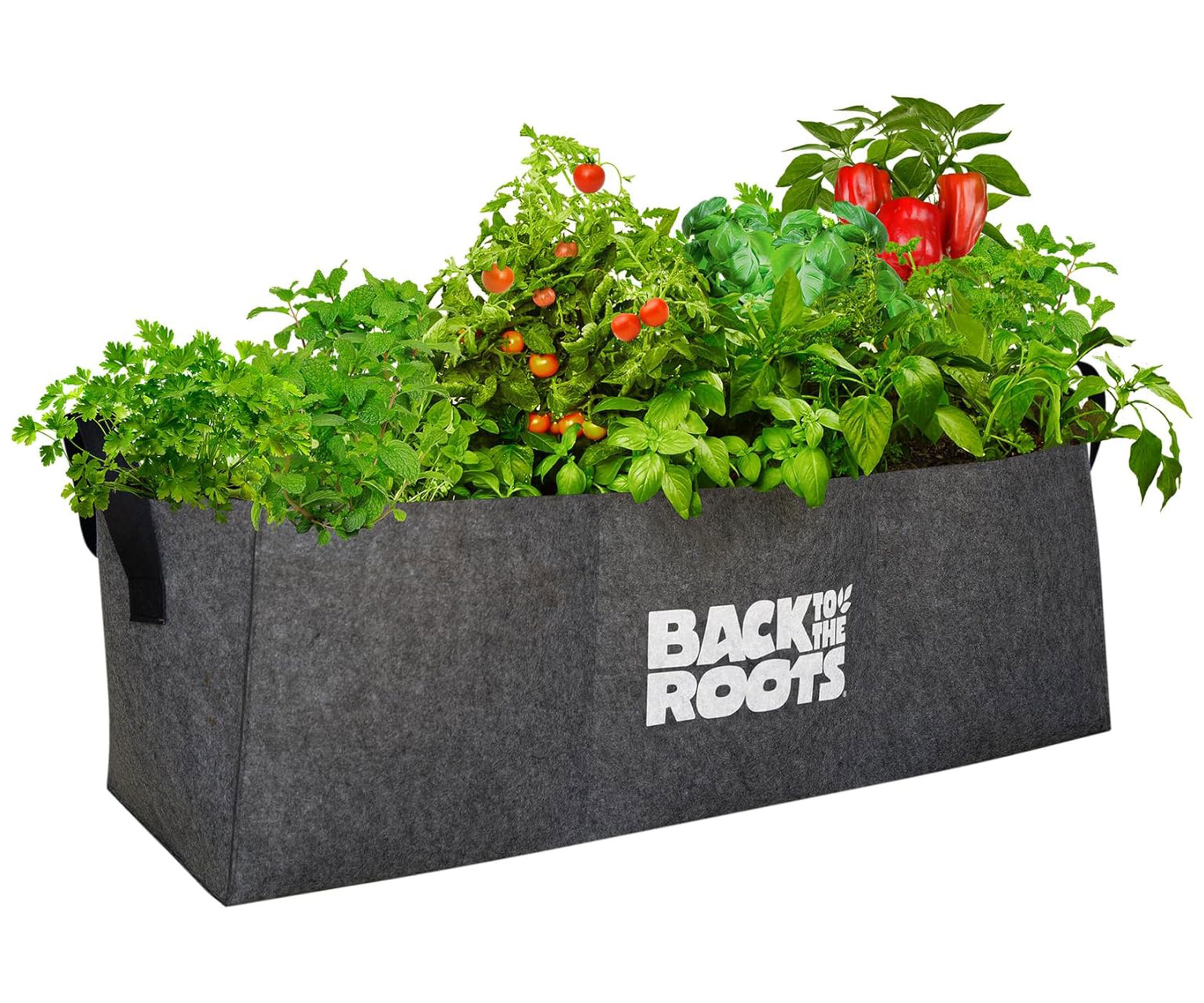 Back to the Roots raised bed with tomatoes and peppers