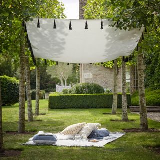 garden with fabric canopy and picnic rug and cushions underneath