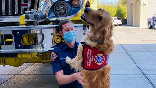 Therapy dog hugs Californian firefighter