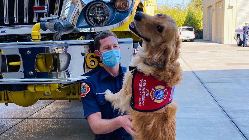 Therapy dog hugs Californian firefighter