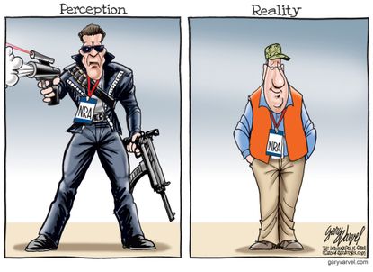 Political cartoon U.S. NRA gun lobby perception vs. reality