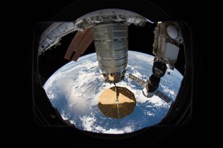 Cygnus and Soyuz Overlook the Earth From Orbit