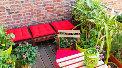 Benches with red pillows, next to herbs and flowers cultivated in balcony garden 