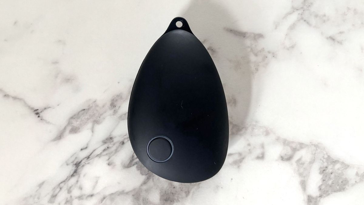 A black, pebble shaped object against a marble backdrop